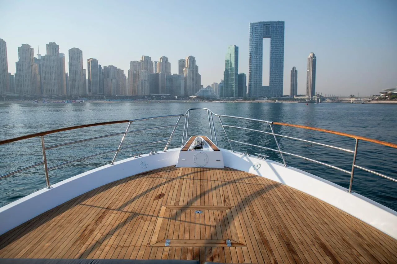 Vidaloka — Flybridge motor yacht